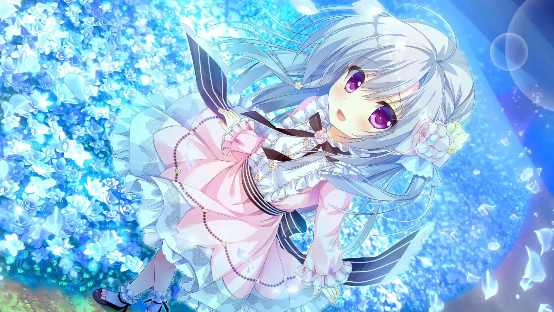 永不枯萎的世界与终结之花