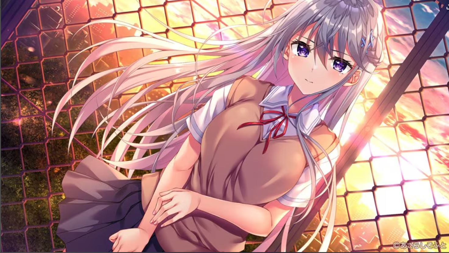 飞鸟会长不会认输